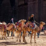 Camel Safari Adventure
