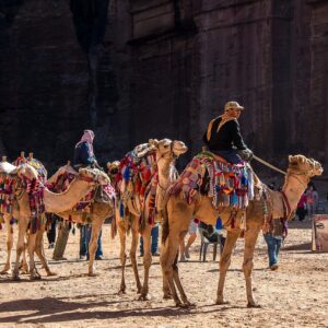 Camel Safari Adventure