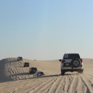 Full-Day Doha City Tour and Desert Safari