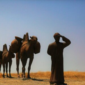 Sunset Desert Safari with Camel Ride & BBQ Dinner